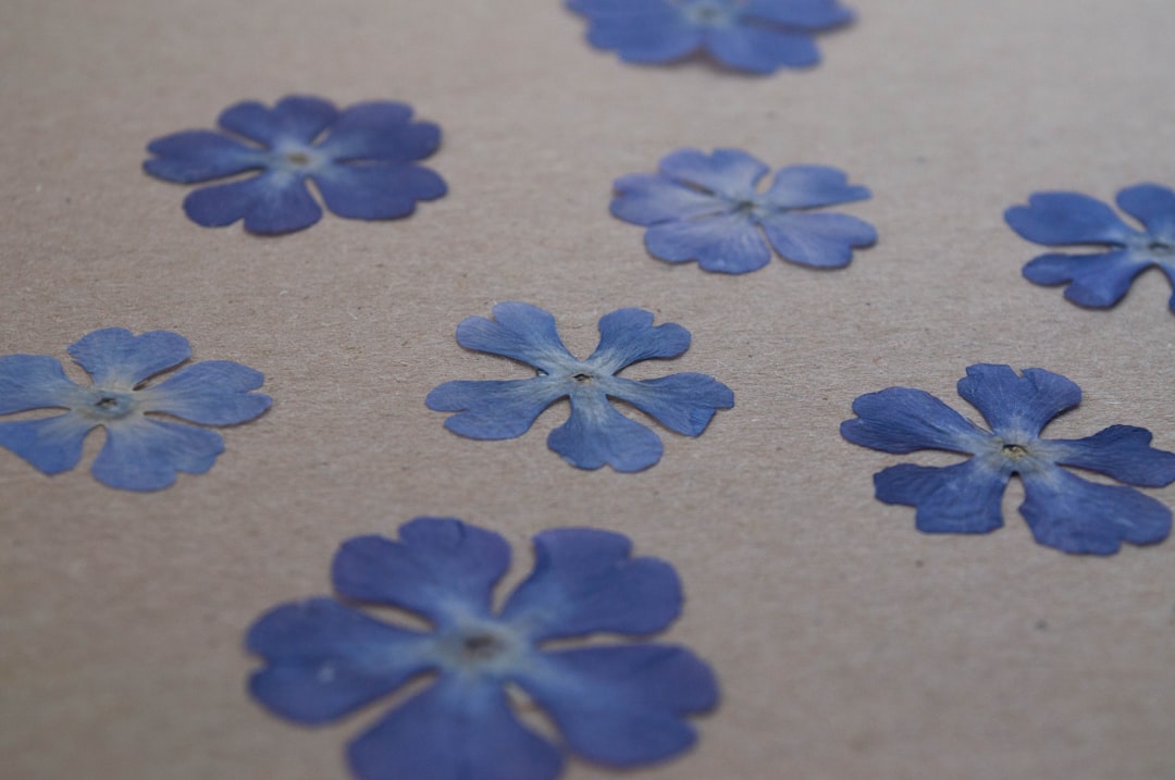 Crafting on a Budget: Creative Ways to DIY Your Decor Crafting on a Budget: Creative Ways to DIY Your Decor